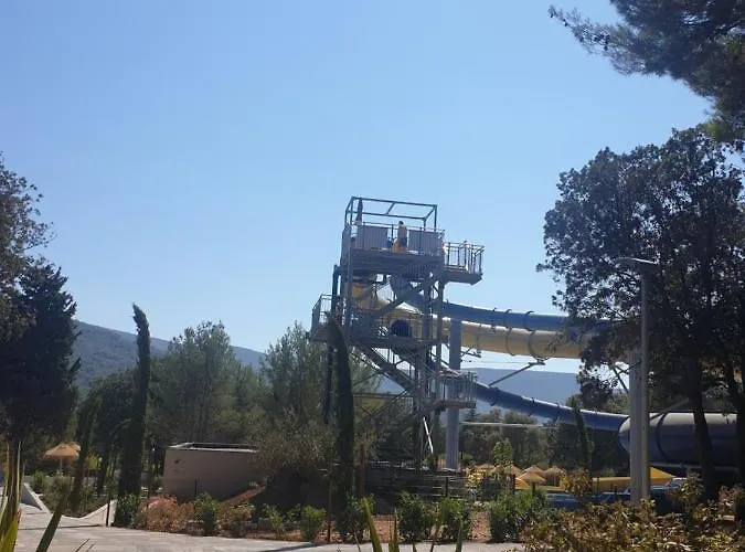 Animari 스타리 그라드