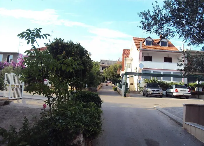 Animari 스타리 그라드